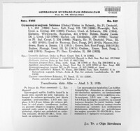 Gymnosporangium sabinae image